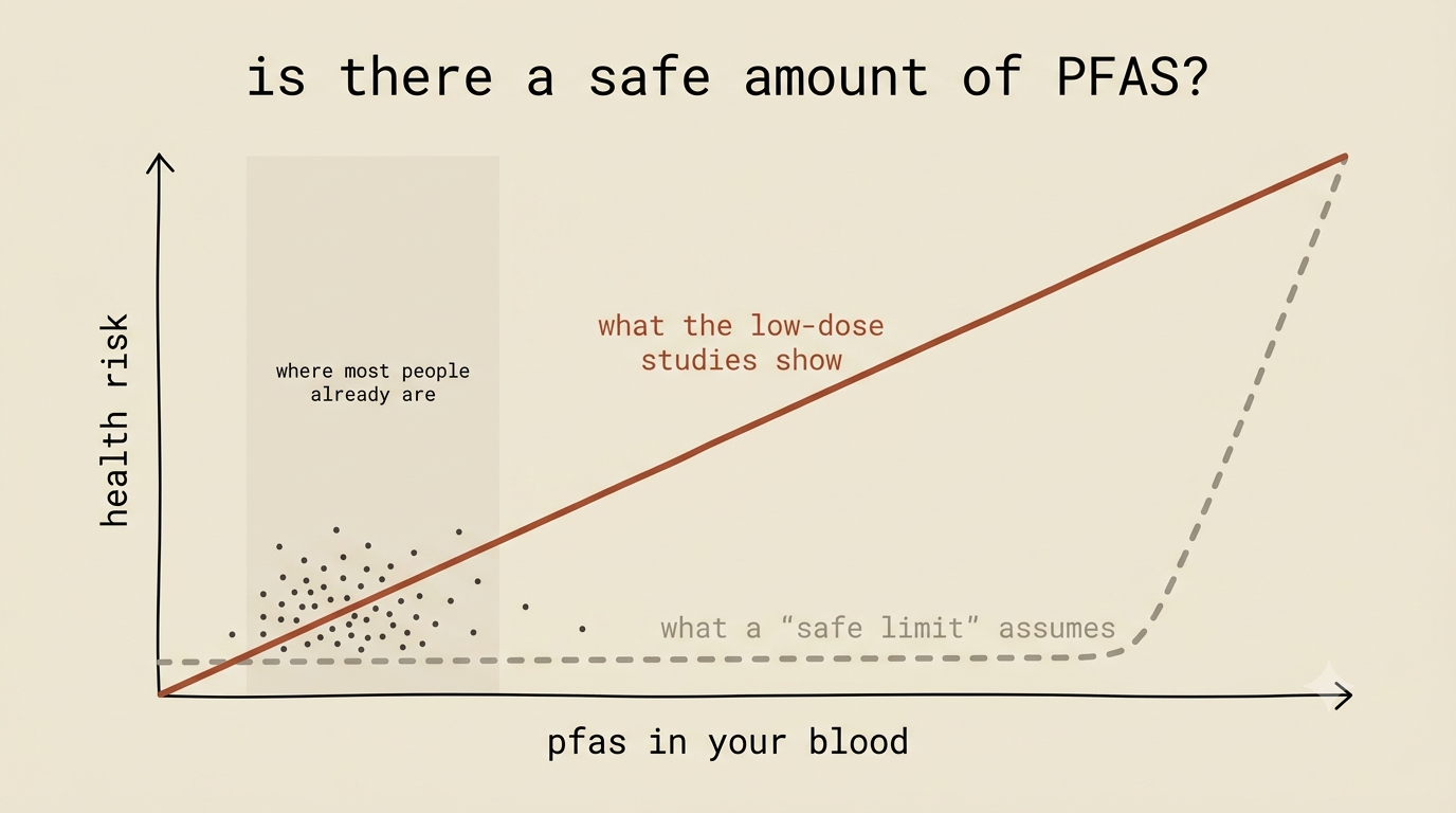 PFAS risk appears to rise from the lowest doses rather than staying flat below a safety threshold.